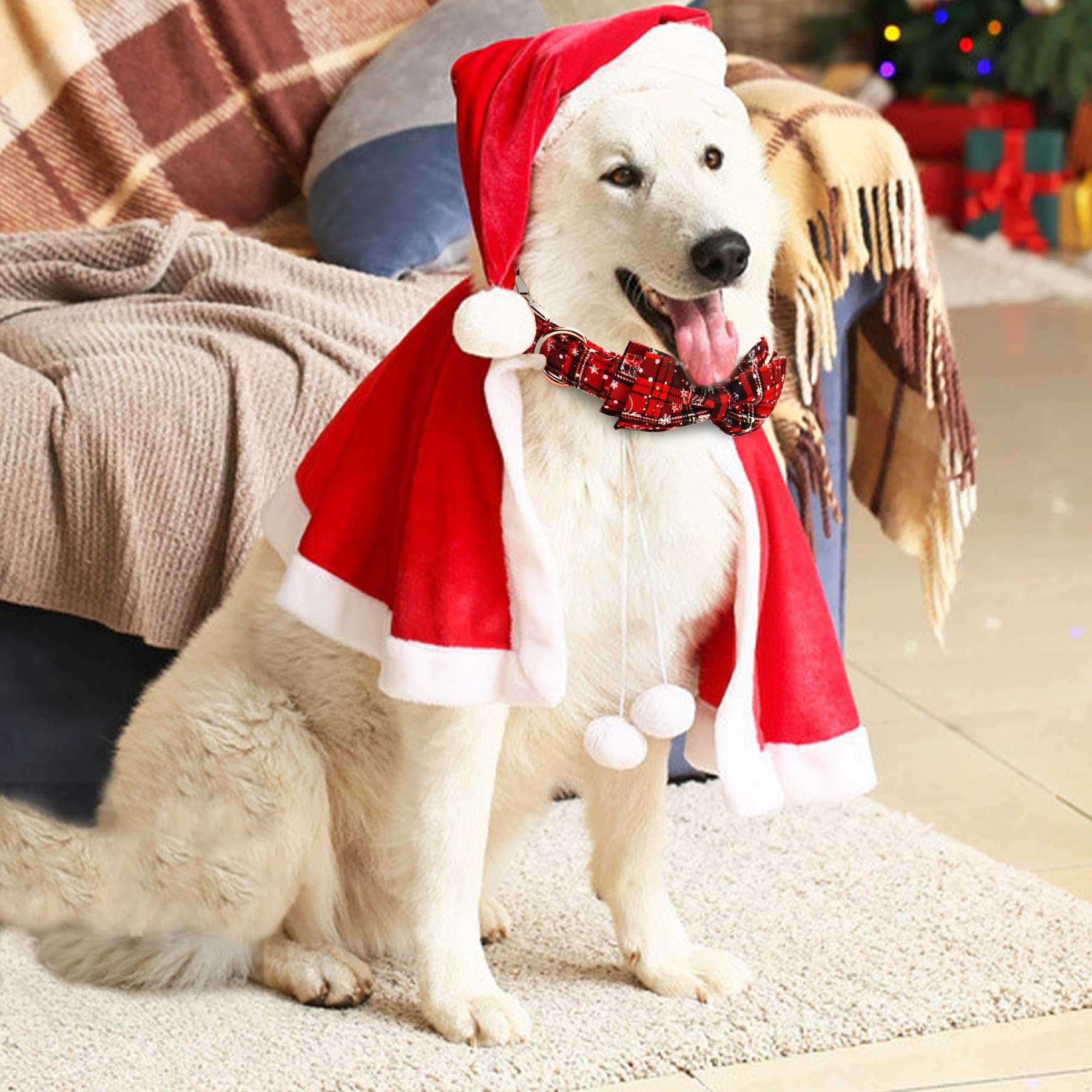 Thankspaw three-size adjustable collar fits small to large dogs.