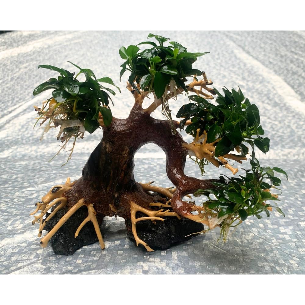 thatuwwood bonsai-driftwood-tree-aquascape-idea demonstrates calming natural aesthetics.