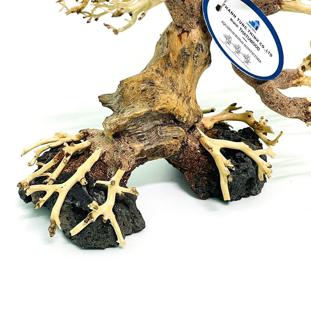 thatuwwood bonsai-driftwood-tree bark-detail emphasizes texture for realistic terrarium displays.