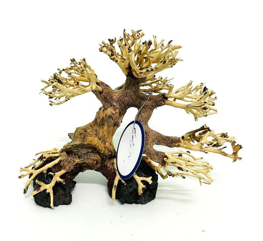 thatuwwood bonsai-driftwood-tree closeup reveals natural grain for aquarium decor.