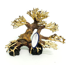 thatuwwood bonsai-driftwood-tree closeup reveals natural grain for aquarium decor.