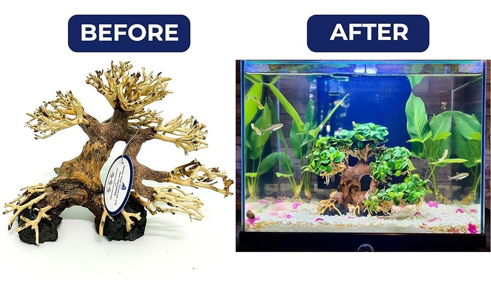 thatuwwood bonsai-driftwood-tree on rocks aquarium scene highlights layered rock accents.