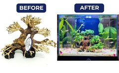 thatuwwood bonsai-driftwood-tree on rocks aquarium scene highlights layered rock accents.