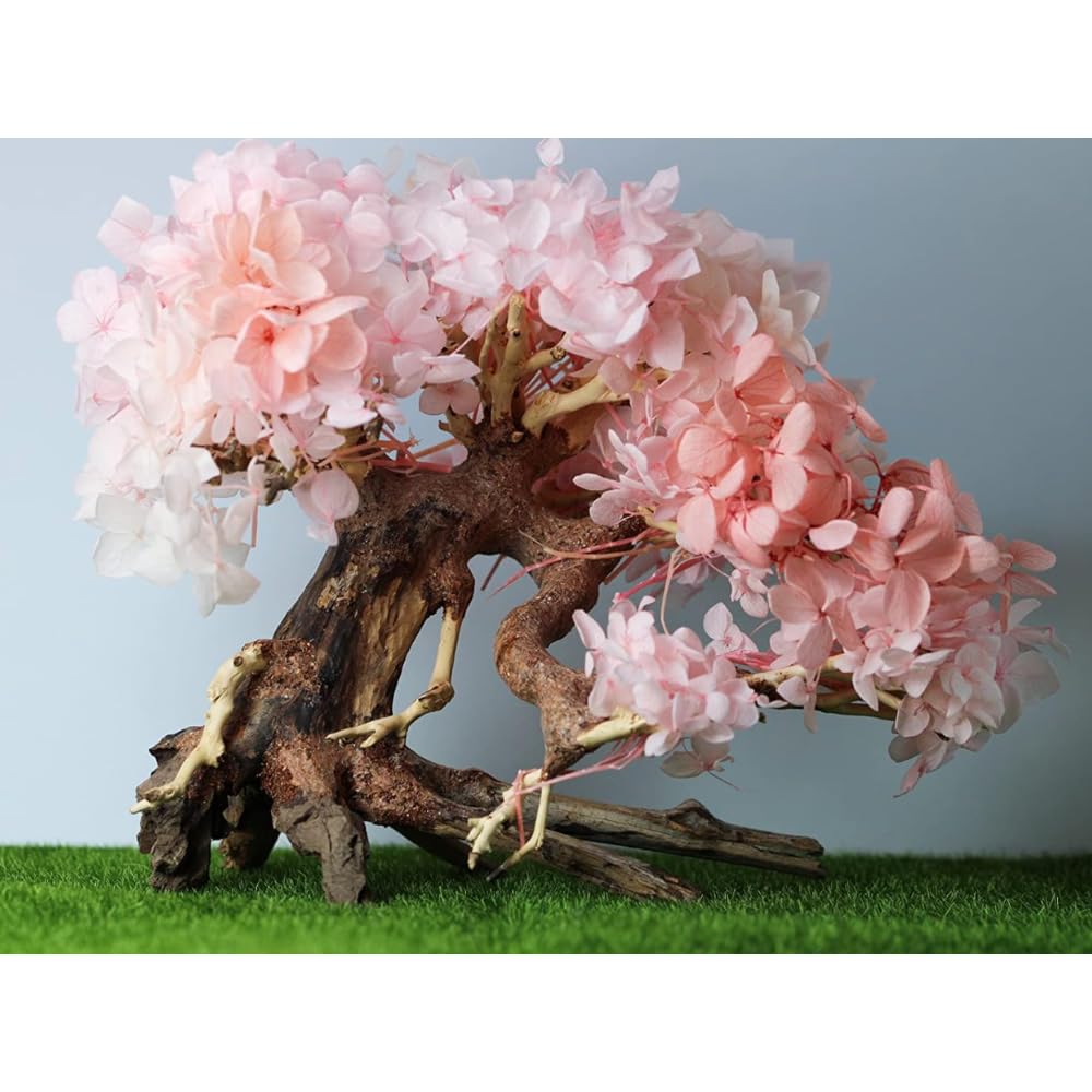 thatuwwood bonsai-driftwood-tree-water-softening-effect appears natural and balanced.