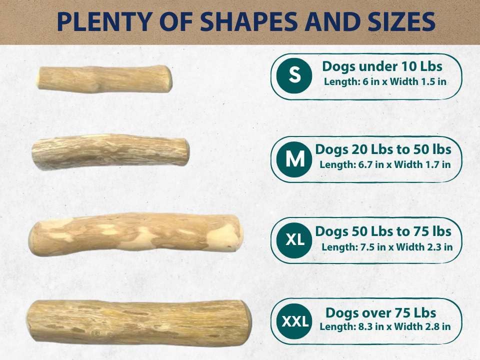 Thatuwwood Coffee Wood Dog Chew Stick in outdoor play promotes active fun.