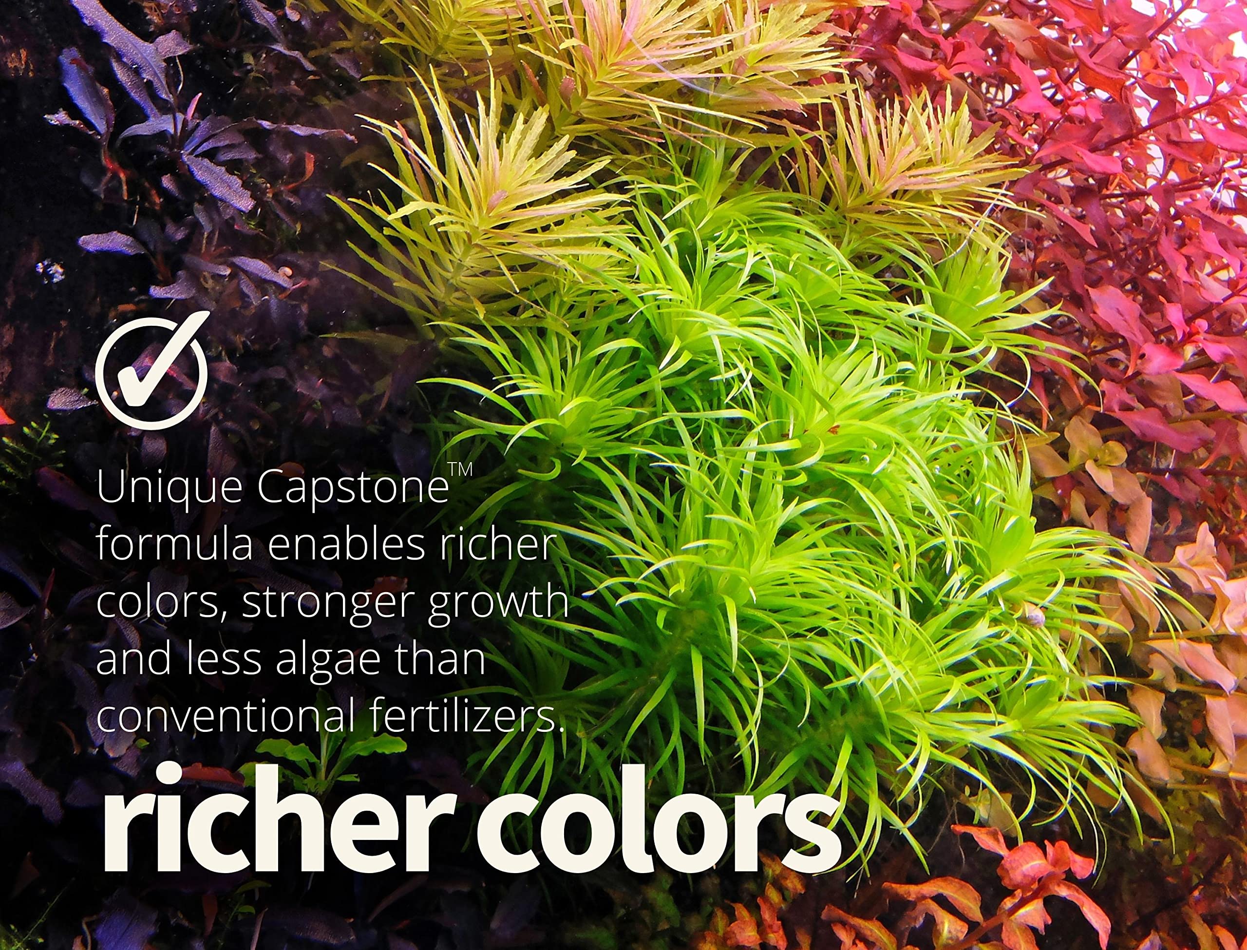 The 2HR Aquarist Apt 1 bottle-pour demonstrates easy dosing for thriving aquascapes.
