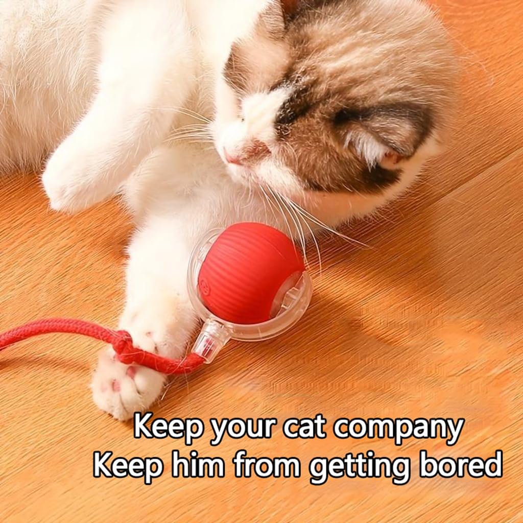 The 3rd-gen interactive cat ball chirps attract view emphasizes prey sounds.