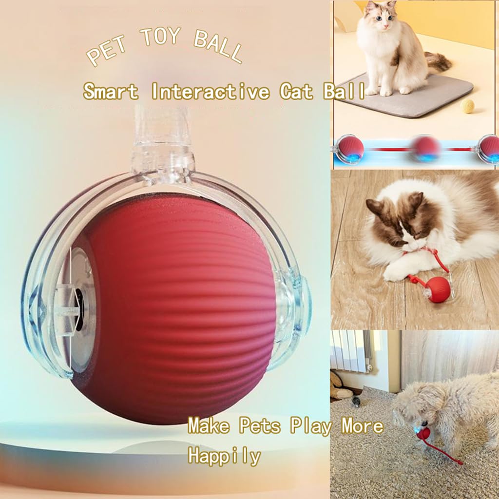 The 3rd-gen interactive cat ball elastic-tail close-up highlights lifelike movement.