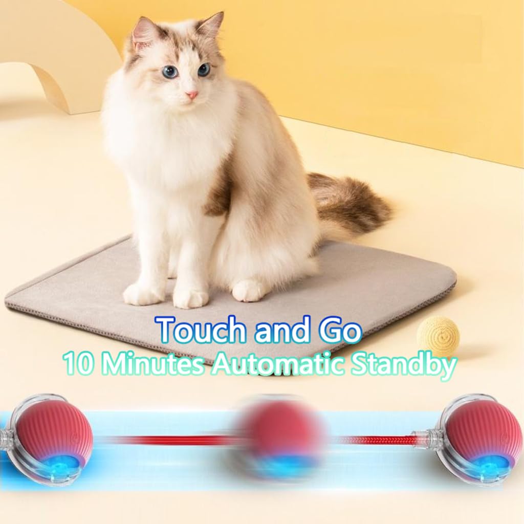 The 3rd-gen interactive cat ball standby 30-min view indicates power saving.