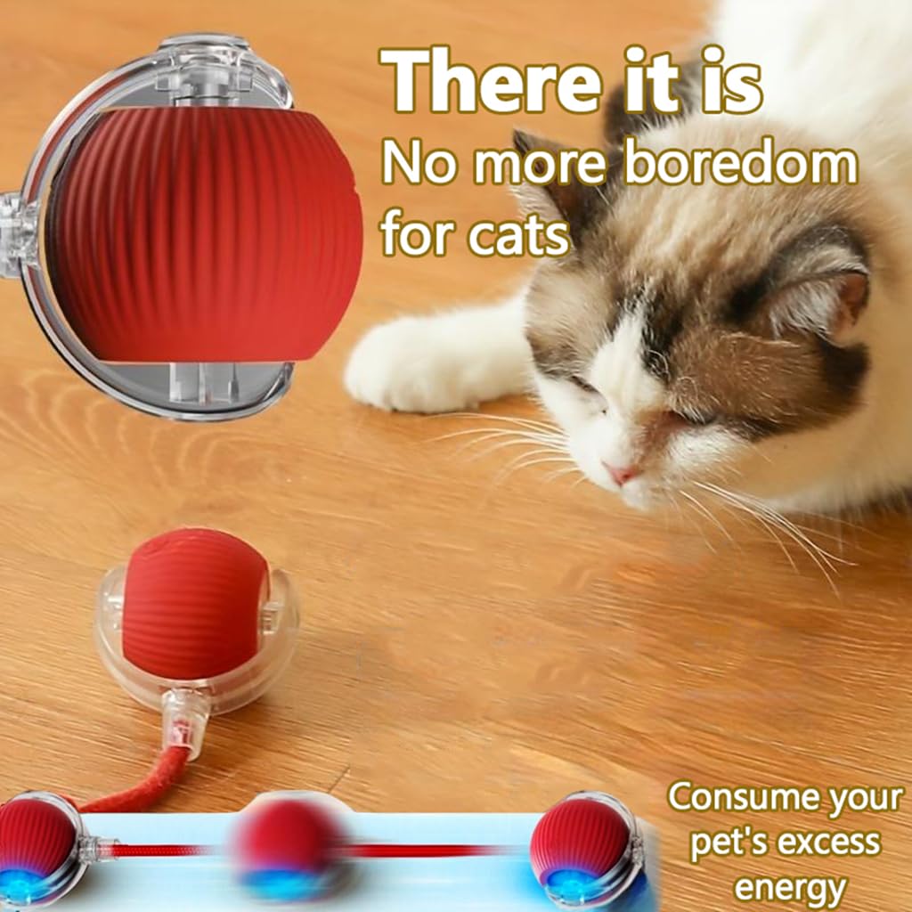 The 3rd-gen interactive cat ball usb-type-c-charging image shows easy recharge.
