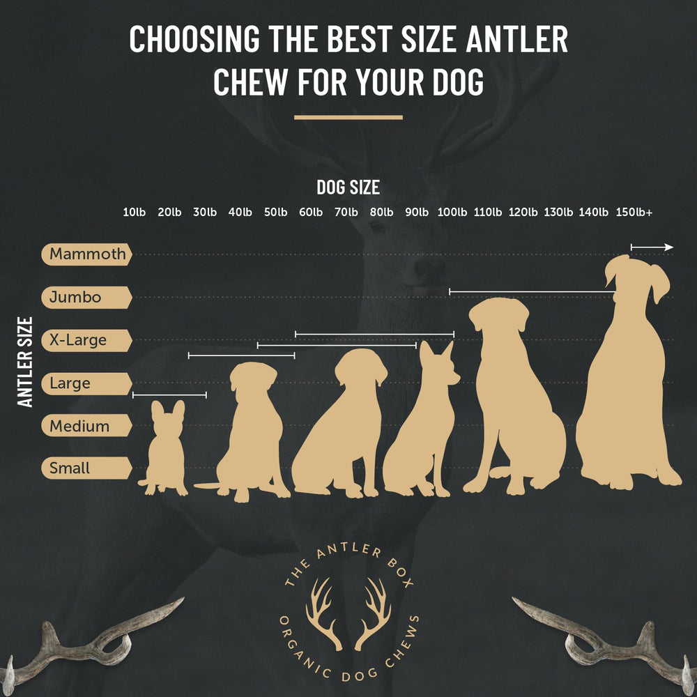 The Antler Box 1lb bulk pack shot emphasizes value and bulk quality