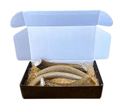 The Antler Box deer antler chews closeup shows natural texture for gnawing
