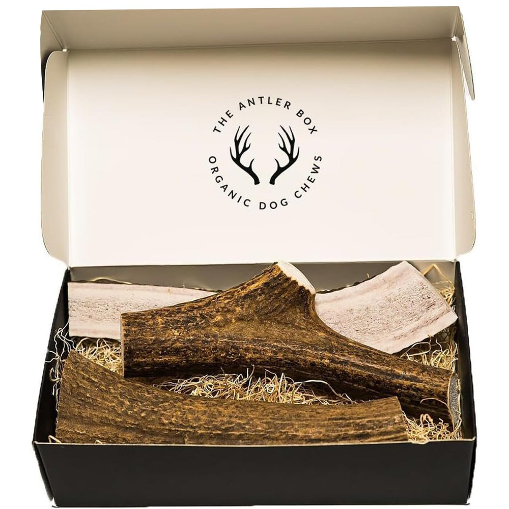 The Antler Box premium elk antler chews whole pieces highlight durable chew time.