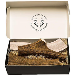 The Antler Box premium elk antler chews whole pieces highlight durable chew time.