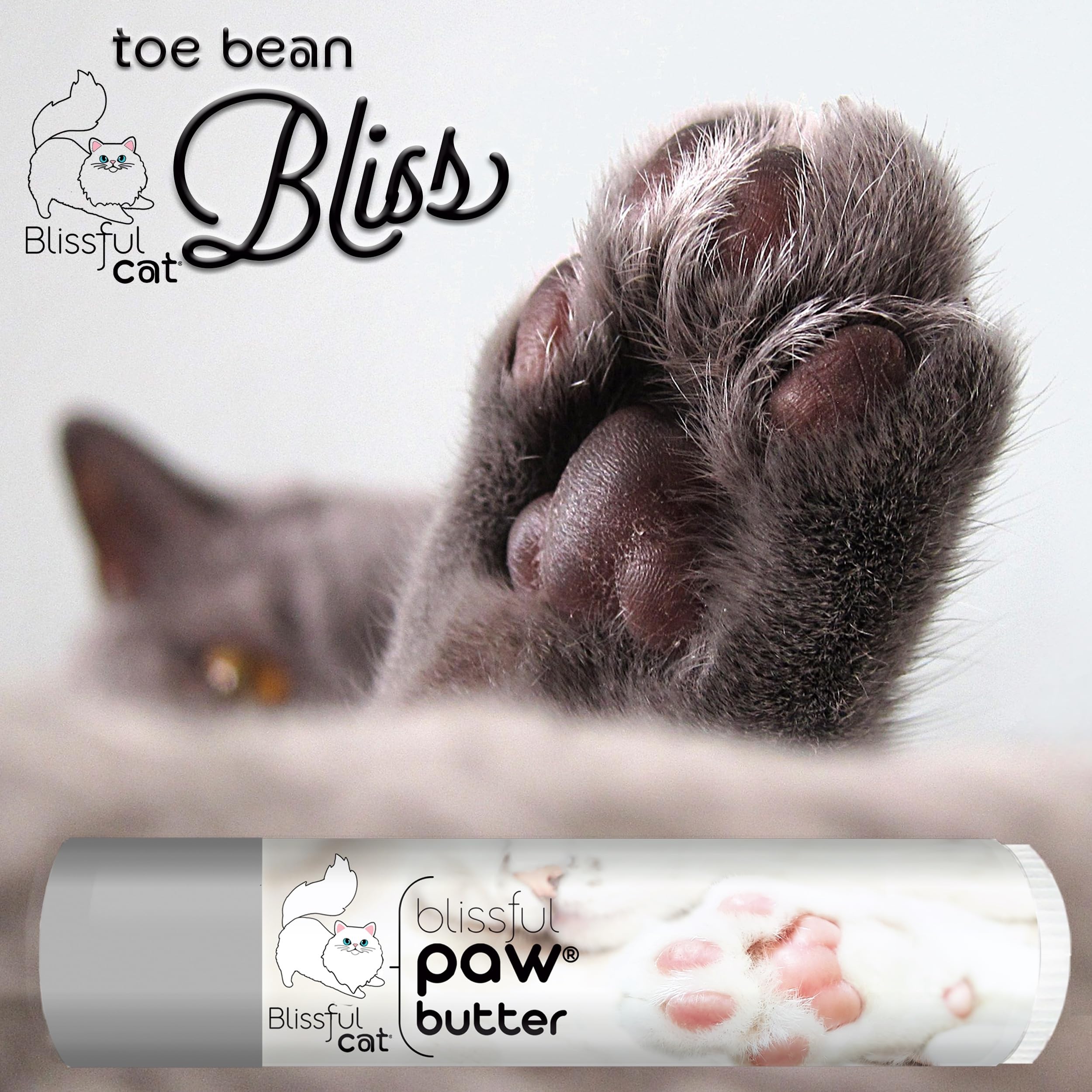 The Blissful Cat Paw Butter creamy texture spreads evenly for easy application.