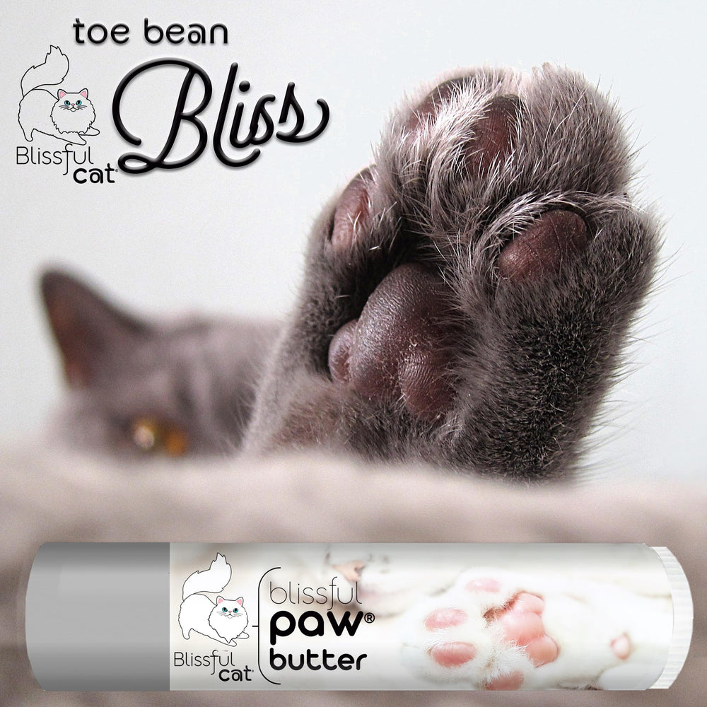 The Blissful Cat Paw Butter creamy texture spreads evenly for easy application.