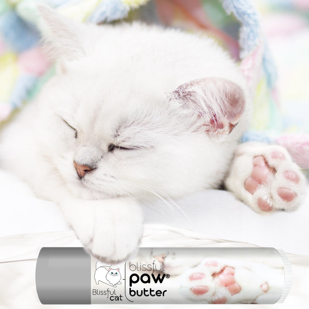 The Blissful Cat Paw Butter daily care routine hints long-lasting moisturization.