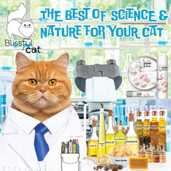 The Blissful Cat Paw Butter ingredients map highlights natural nourishment.