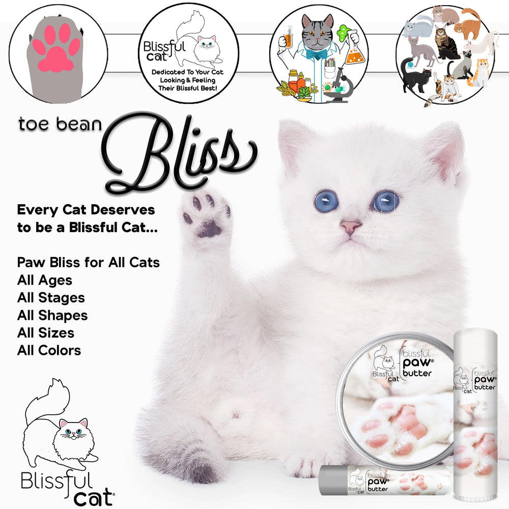 The Blissful Cat Paw Butter ingredients blend displayed in bottle suggests natural nourishment.