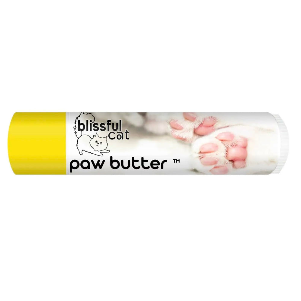 The Blissful Cat Paw Butter jar closeup shows creamy balm for quick paw relief.