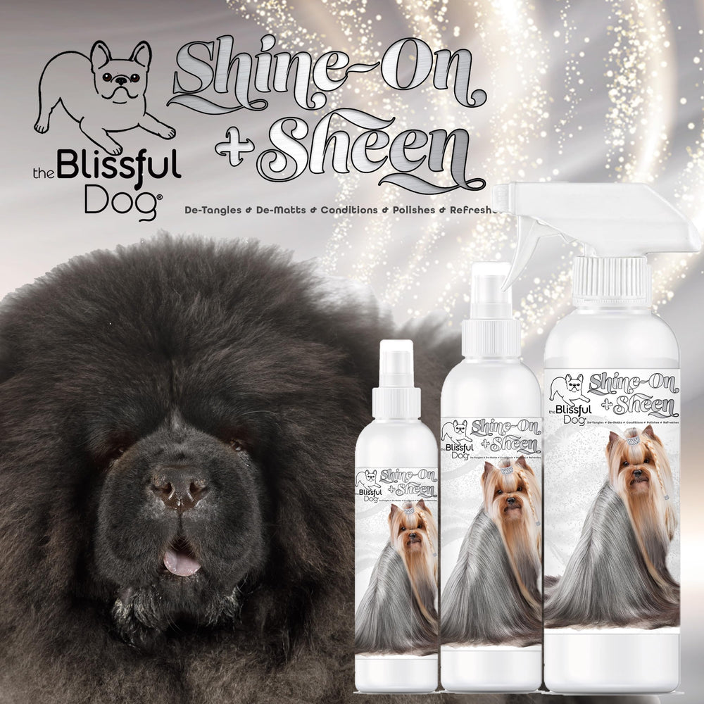 The Blissful Dog Shine-On Sheen coat spray leaves a glossy finish.
