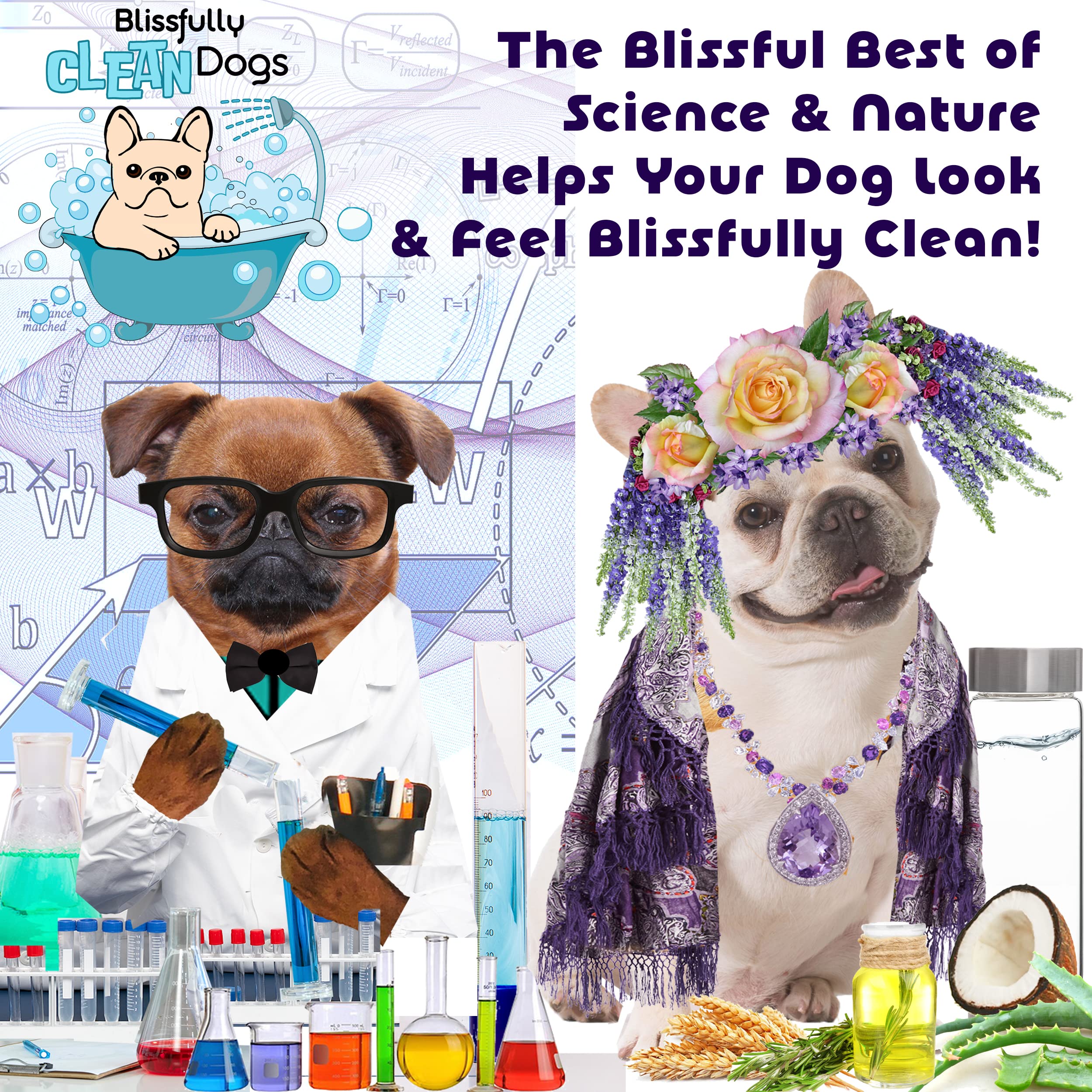 The Blissful Dog Shine-On grooming session shows product in use.