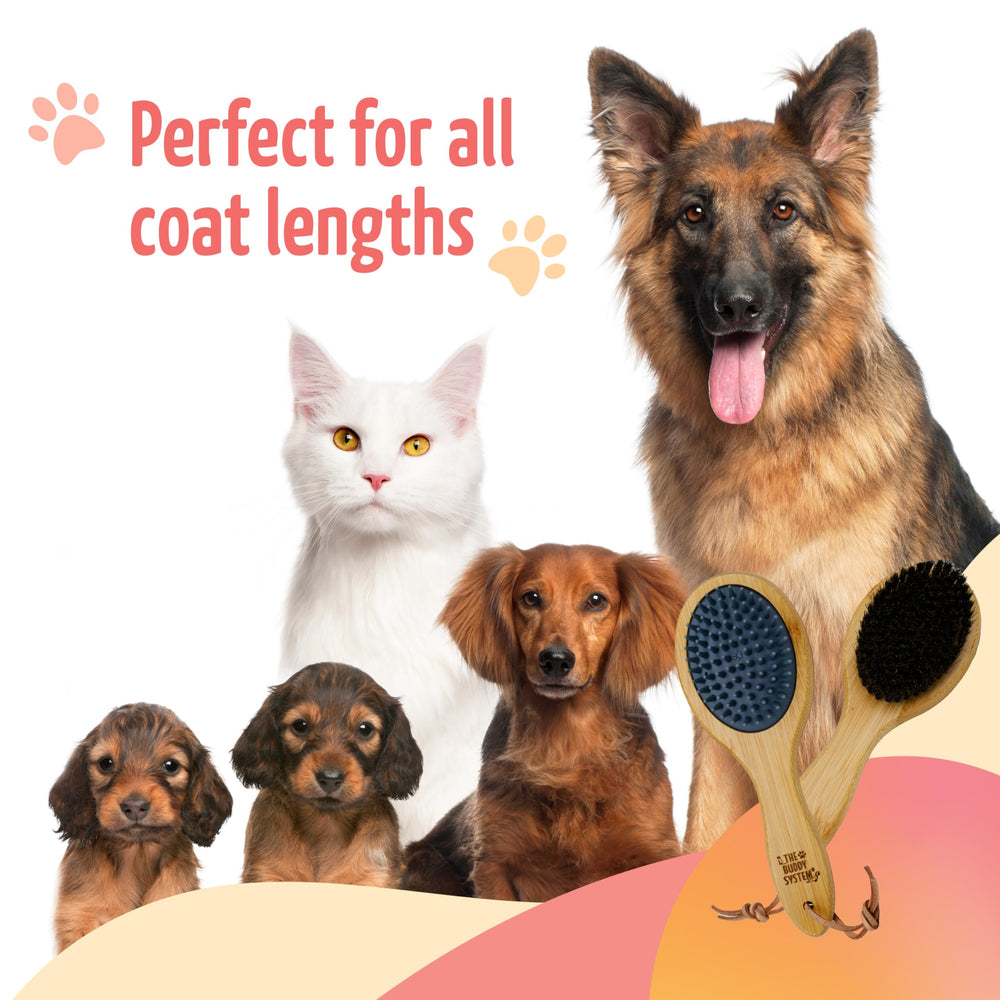 The Buddy System combo brush helps shedding control with regular grooming.