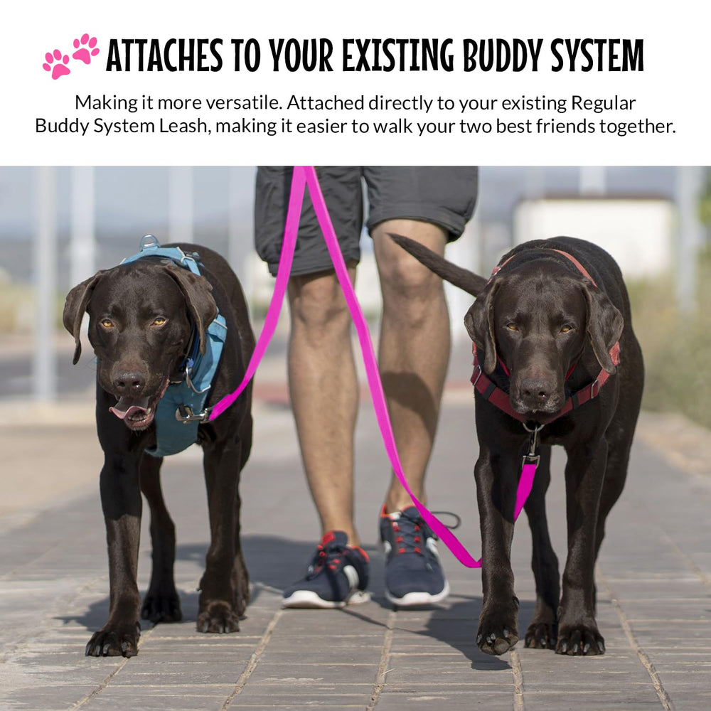 The Buddy System Double Buddy dog leash system enhances versatile, hands-free walks.