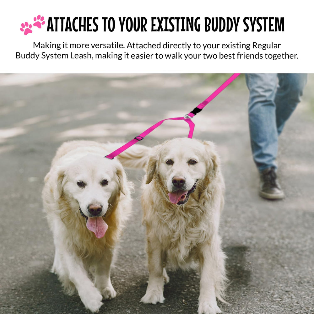 The Buddy System Double Buddy hands-free leash keeps dogs aligned during workouts.