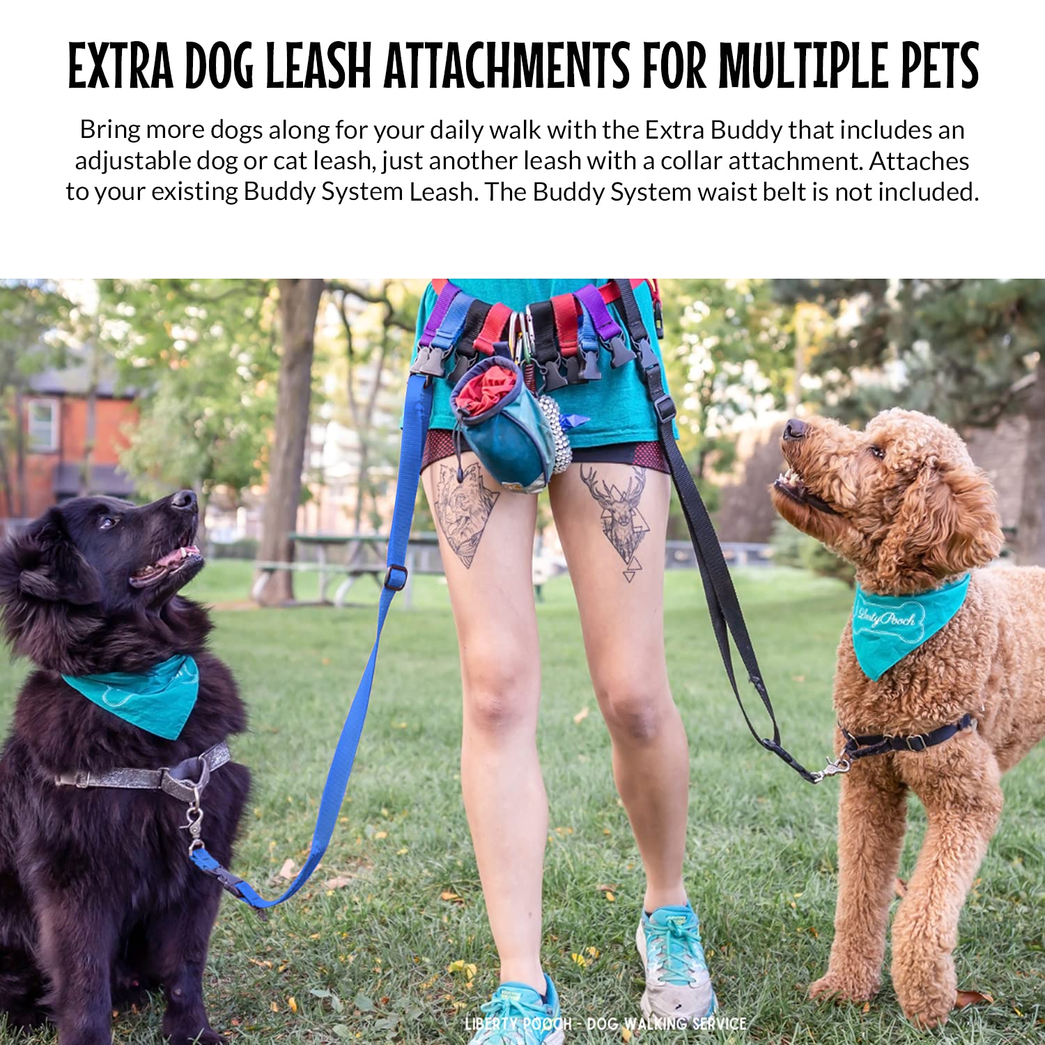 The Buddy System hands-free leash extended reach shows 22 to 40 inch adjustment