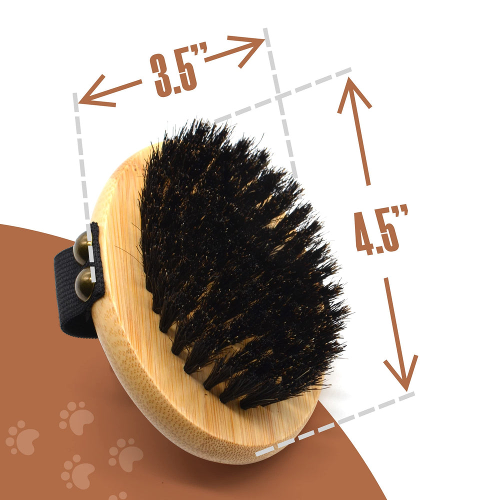 The Buddy System Pet Close Brush shown for cat care and coat maintenance.