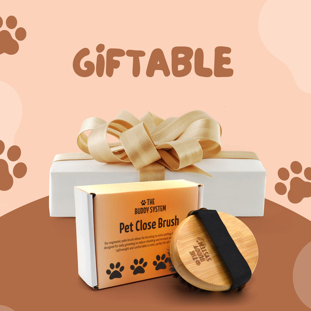 The Buddy System Pet Close Brush demonstrates oil distribution across the coat.