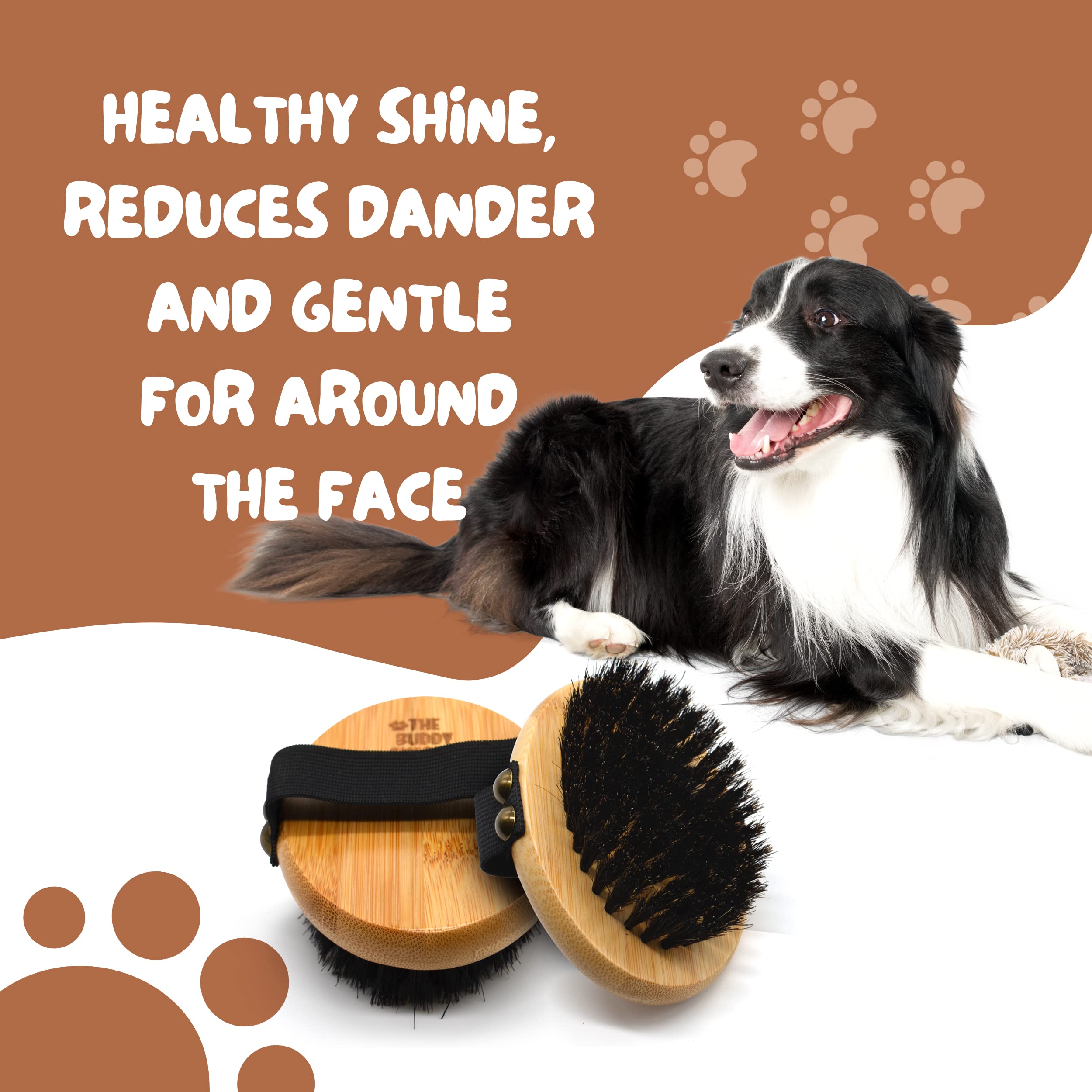 The Buddy System Pet Close Brush close-up emphasizes safety around face and ears.