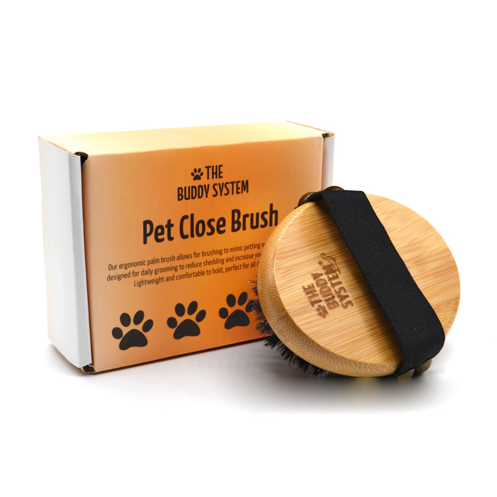 The Buddy System Pet Close Brush packaging emphasizes sustainability and readiness for daily use.
