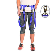 The Buddy System regular dog blue accessory pack ready for daily walks