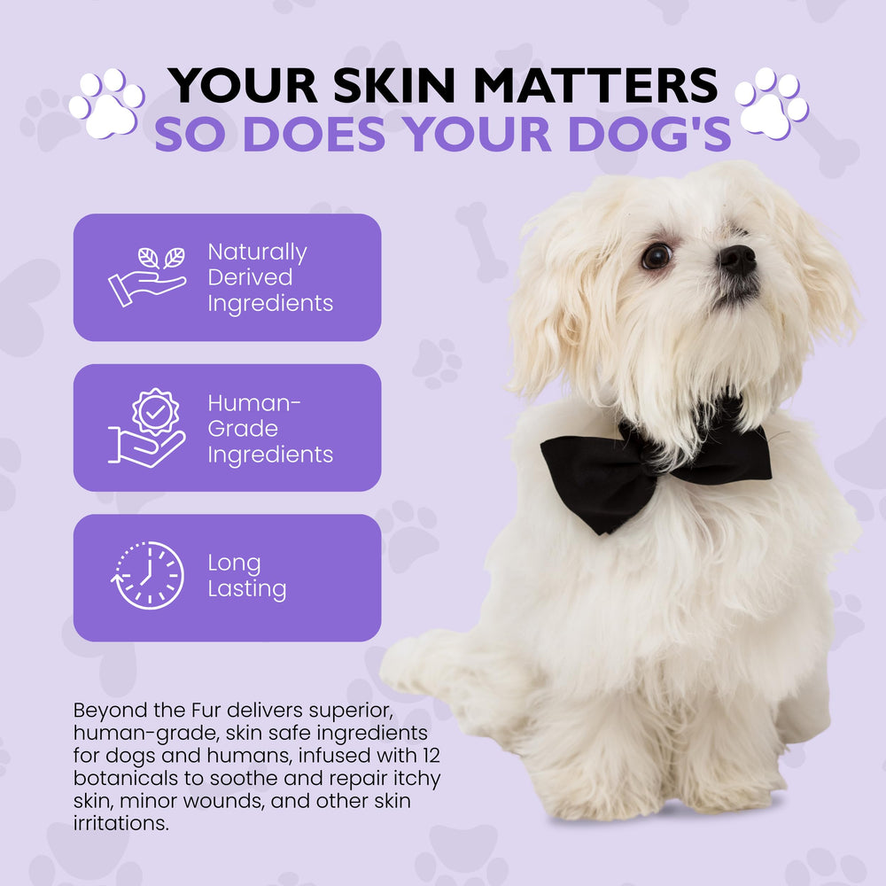 The Canine Project Vital Skin Therapy Spray applied on a dog’s coat for itch relief