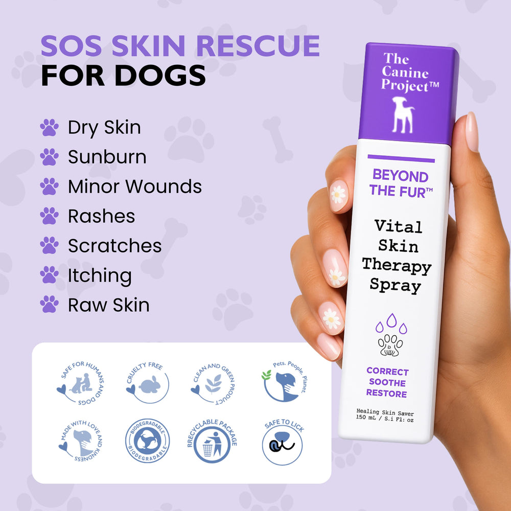 The Canine Project Vital Skin Therapy Spray on the belly area for sensitive skin care