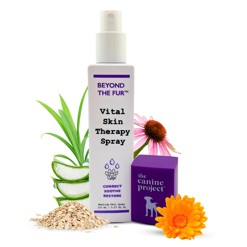 The Canine Project Vital Skin Therapy Spray bottle closeup showing a gentle dog skin solution
