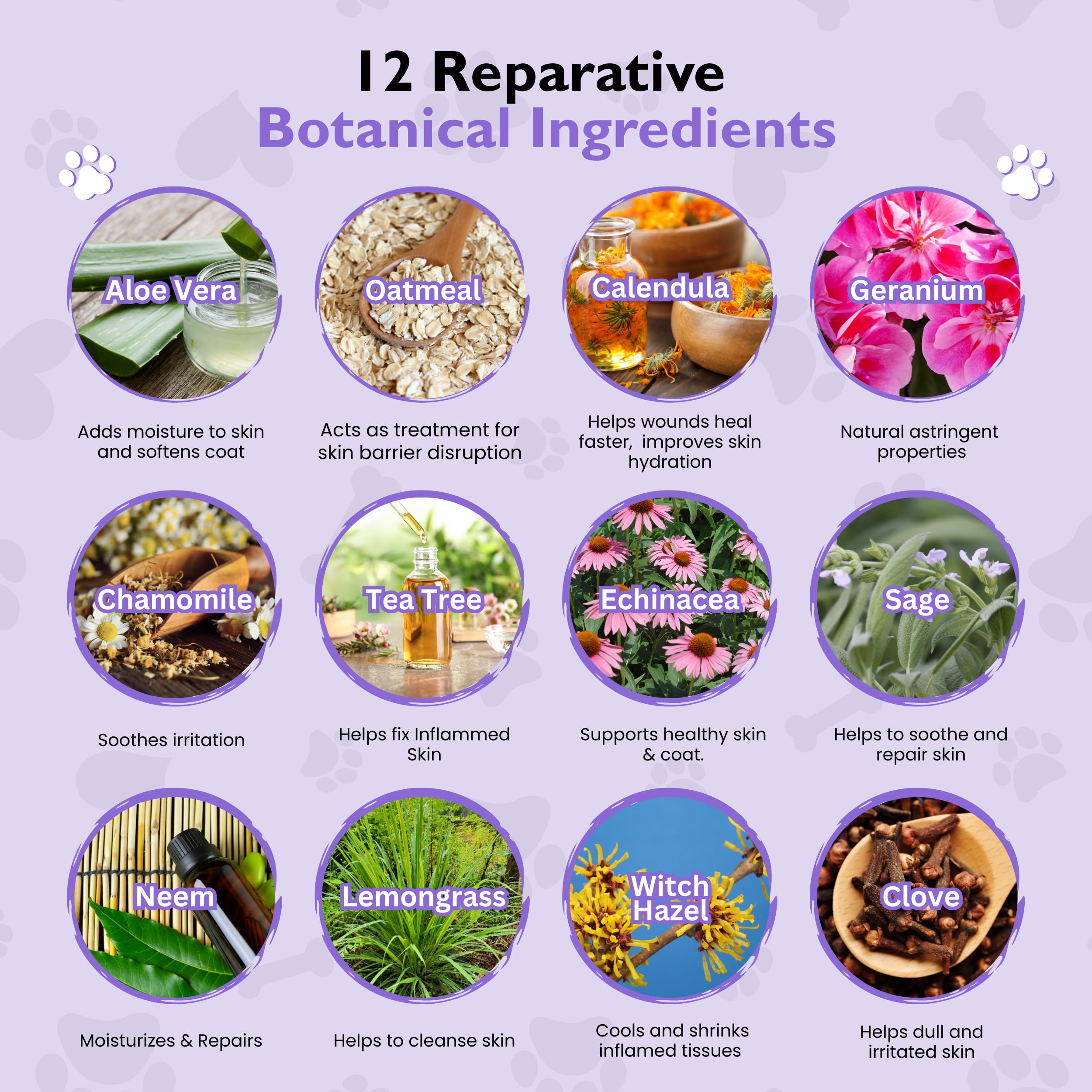 The Canine Project Vital Skin Therapy Spray on paws illustrating safe, non-stinging relief