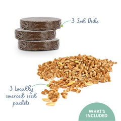 The Cat Ladies seed mix image demonstrates organic cat grass for digestion-friendly snacking.
