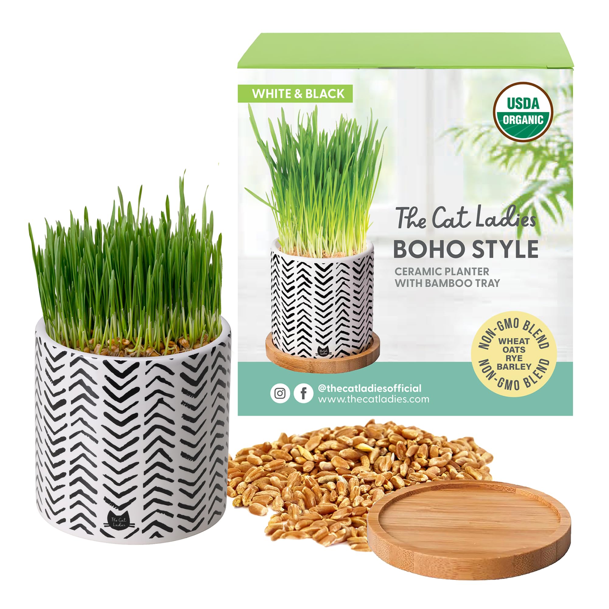 The Cat Ladies organic cat grass growing kit with lush sprouts supporting digestion.