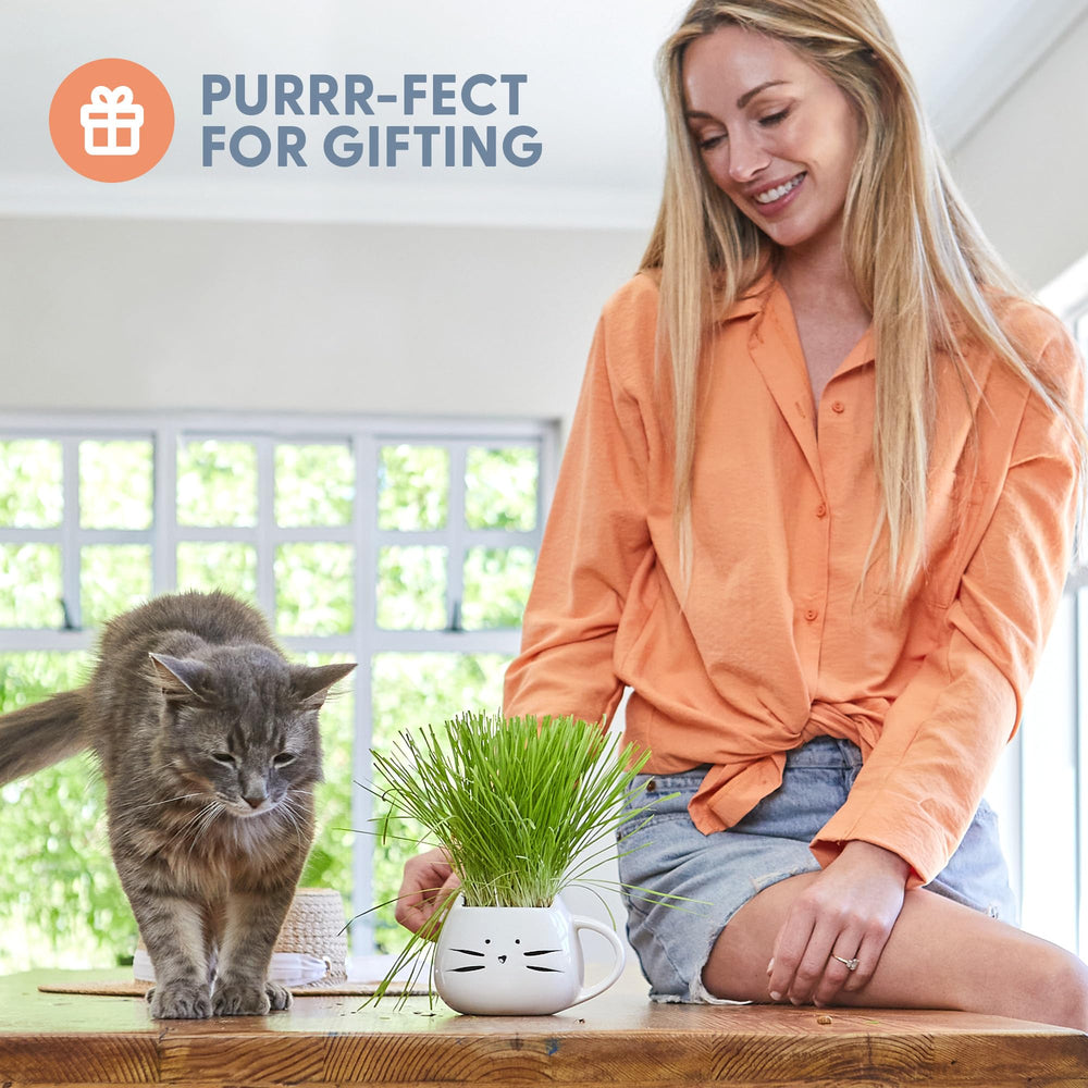 The Cat Ladies organic soil disk for effortless germination and root support.