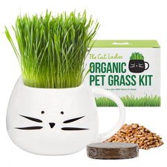 The Cat Ladies white cat planter mug ready for growing healthy cat grass.