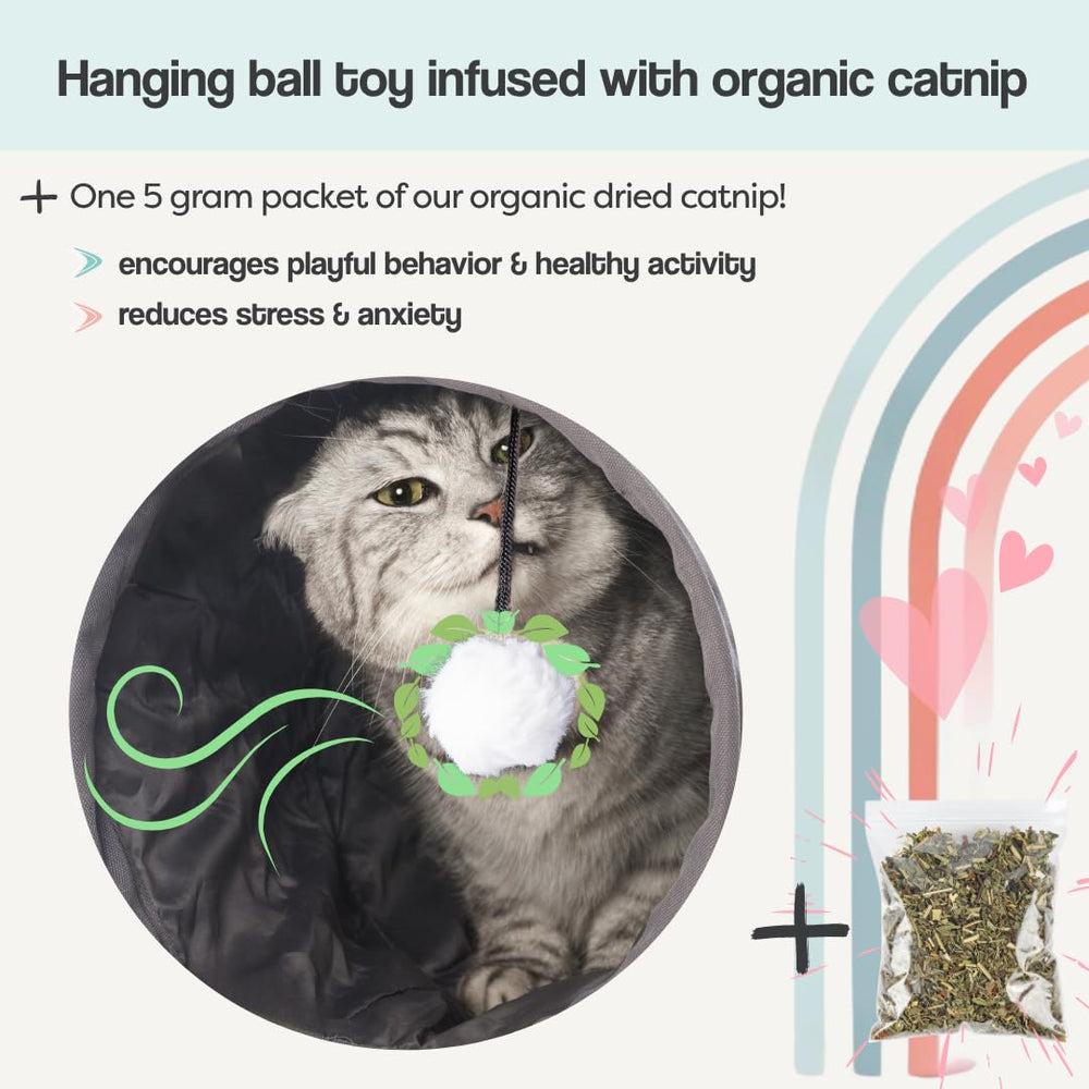 The Cat Park 3-in-1 design supports play and rest in one setup
