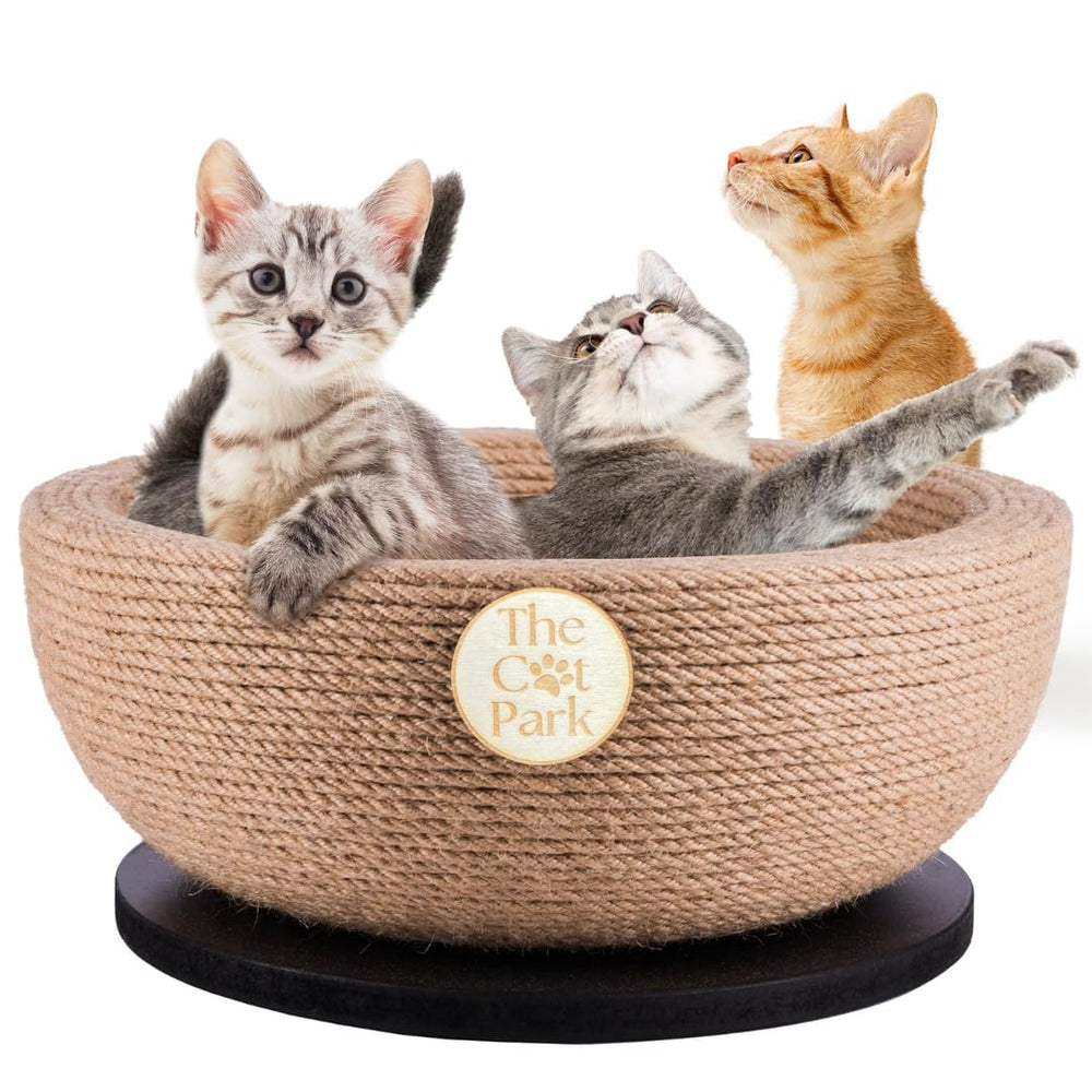 The Cat Park Da Bowl assembled view shows instant-use cat furniture for indoor lounging.