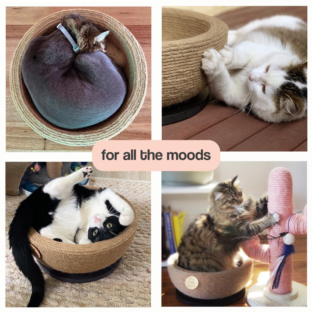The Cat Park Da Bowl dried catnip included for extra playful engagement.