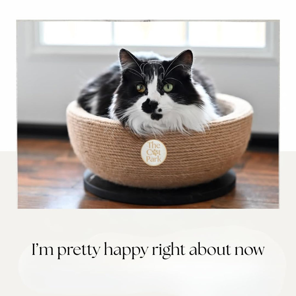 The Cat Park Da Bowl durability detail emphasizes long-lasting structure.
