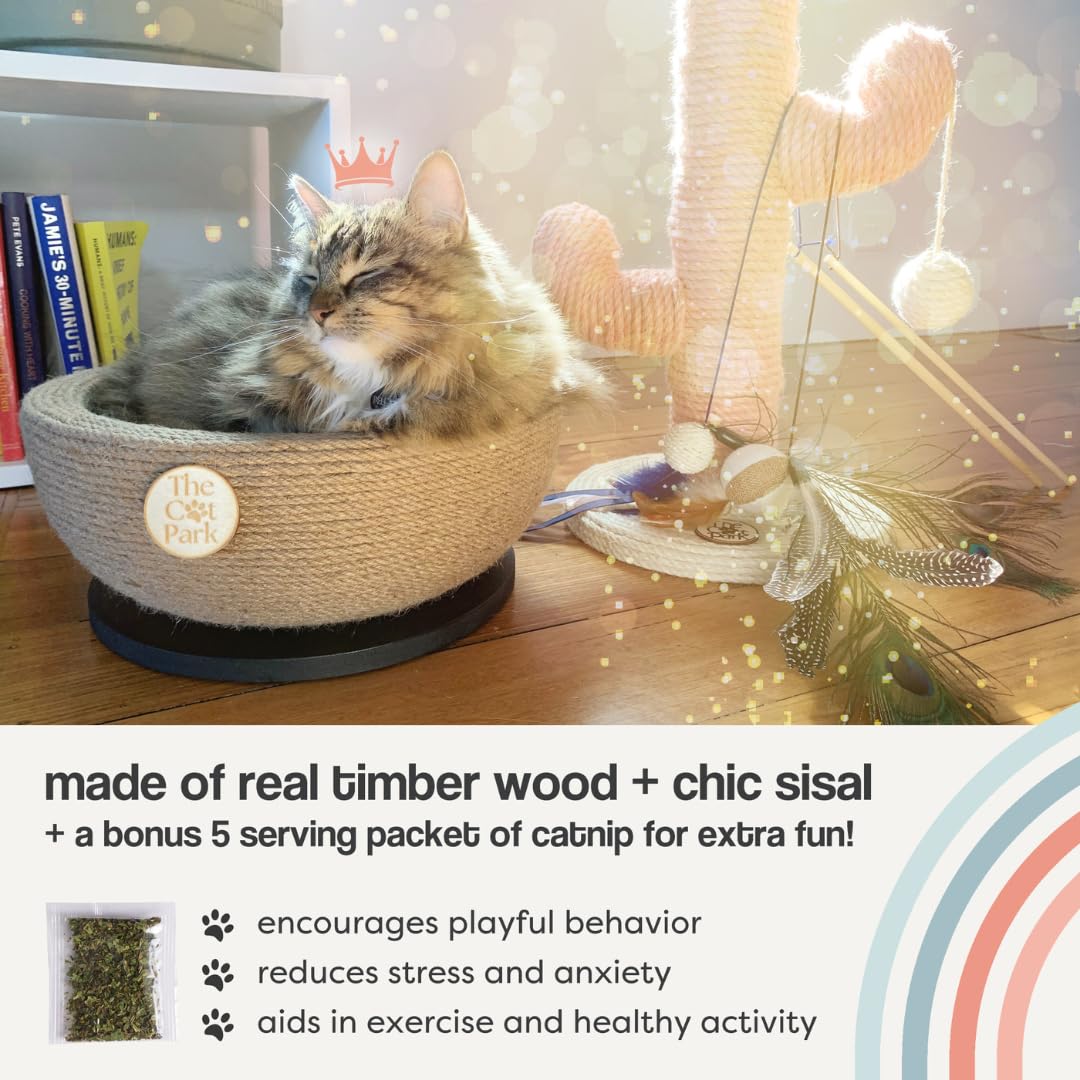 The Cat Park Da Bowl serves kittens to seniors for scratching and resting.