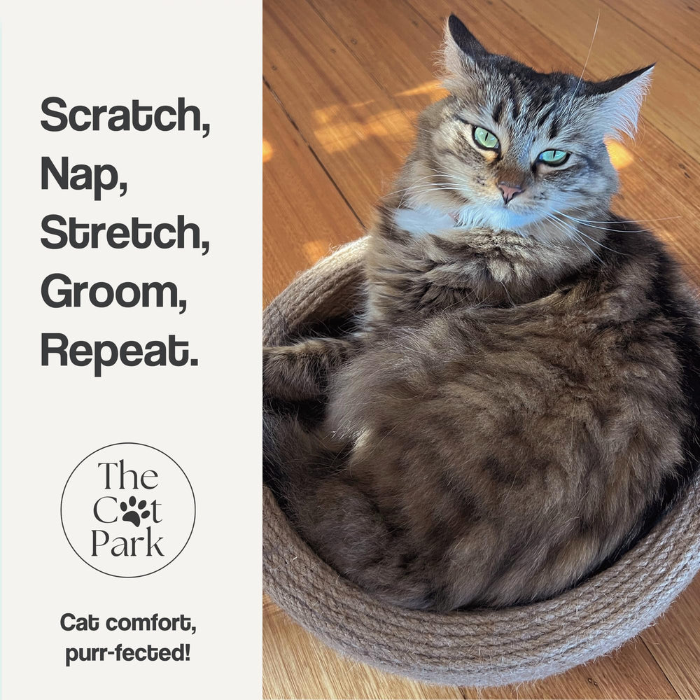The Cat Park Da Bowl round nest invites cozy naps with natural fibers.