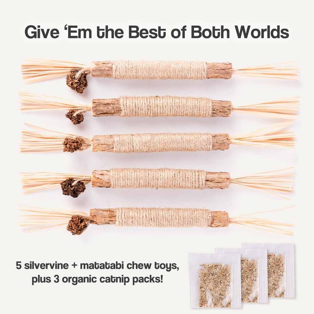 The Cat Park Silvervine Sticks catnip bags shown, boosting enrichment and playful engagement.